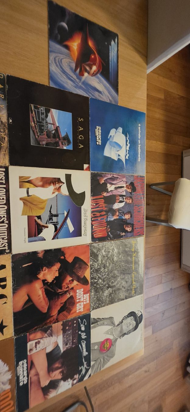 Schallplatten: Diverse Schallplatten LP's  – Gebraucht aus Meggen von GoncallvesTiago21 3