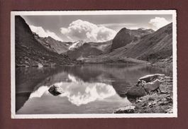 SCHWARZSEE auf dem Flüelapass - Ziege - 1954