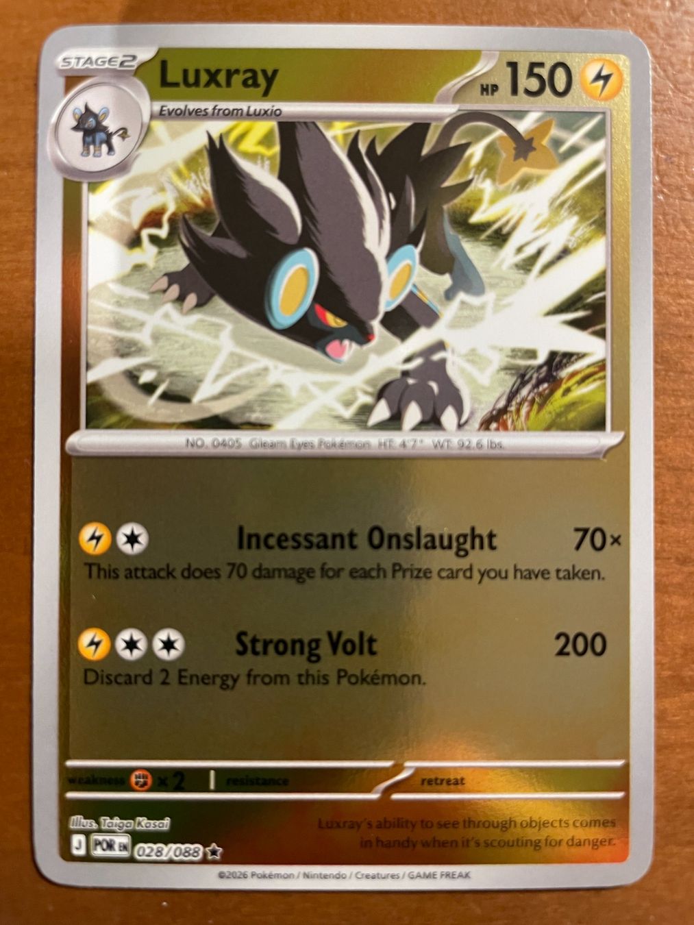 Pokémon Carte collezionabili: Pokemon Luxray Reverse (Versand gratis) – Nuovo (secondo la descrizione) da Chur venduto da Angerson