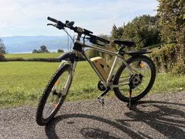 E-Mountainbike weiss mit Akku gebrauchter Zustand