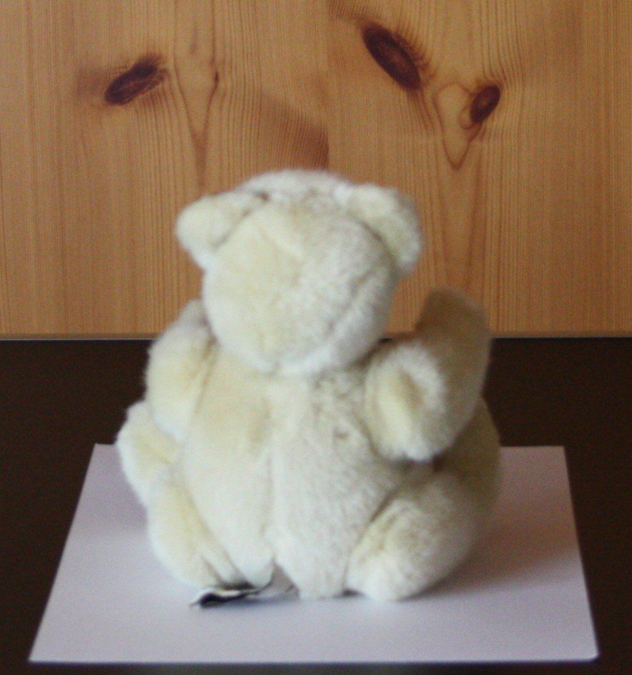 Giocattoli: Teddybär Bär  Gliedmassen beweglich – Usato da Flüelen venduto da Diversicum-Shop 5