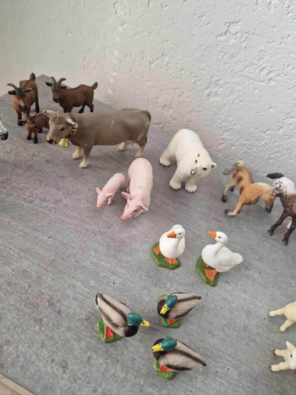 Schleich Statuette: Schleich Tiere – Usato da Wiesendangen venduto da Romcar1 1