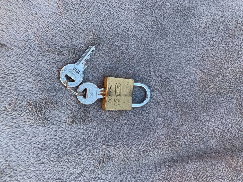 Zwei Schlösser mit Schlüssel Kaufen auf Ricardo