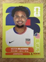 Panini USA 10