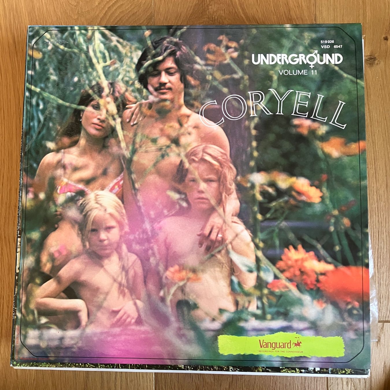 Dischi in vinile: Larry Coryell – Coryell – Usato da Altdorf UR venduto da Metallic0