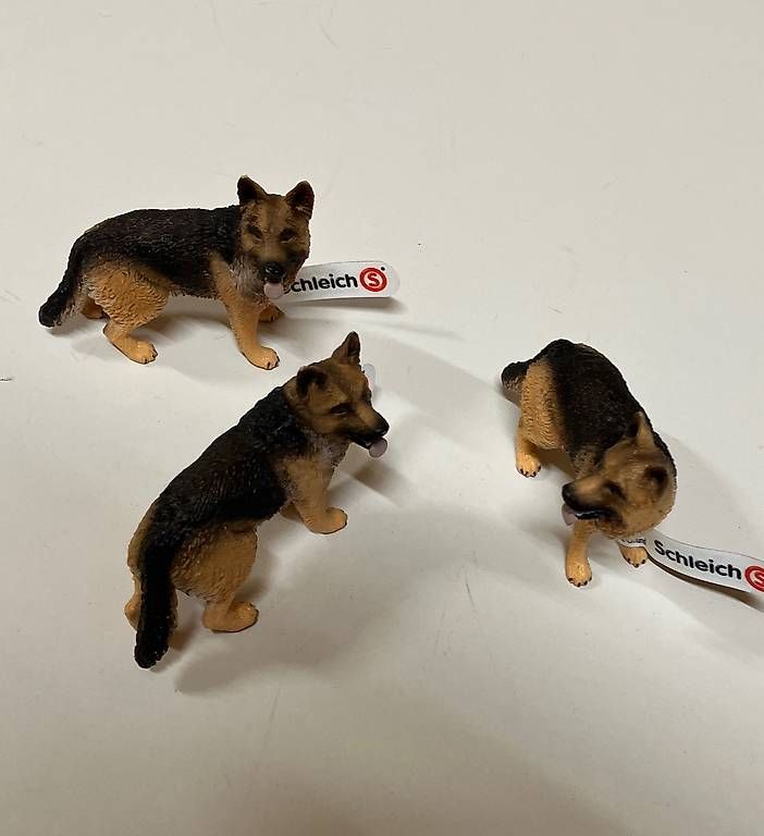 Giocattoli: Tierset Schleich, neu – Usato da Weinfelden venduto da PrinzHardy 4