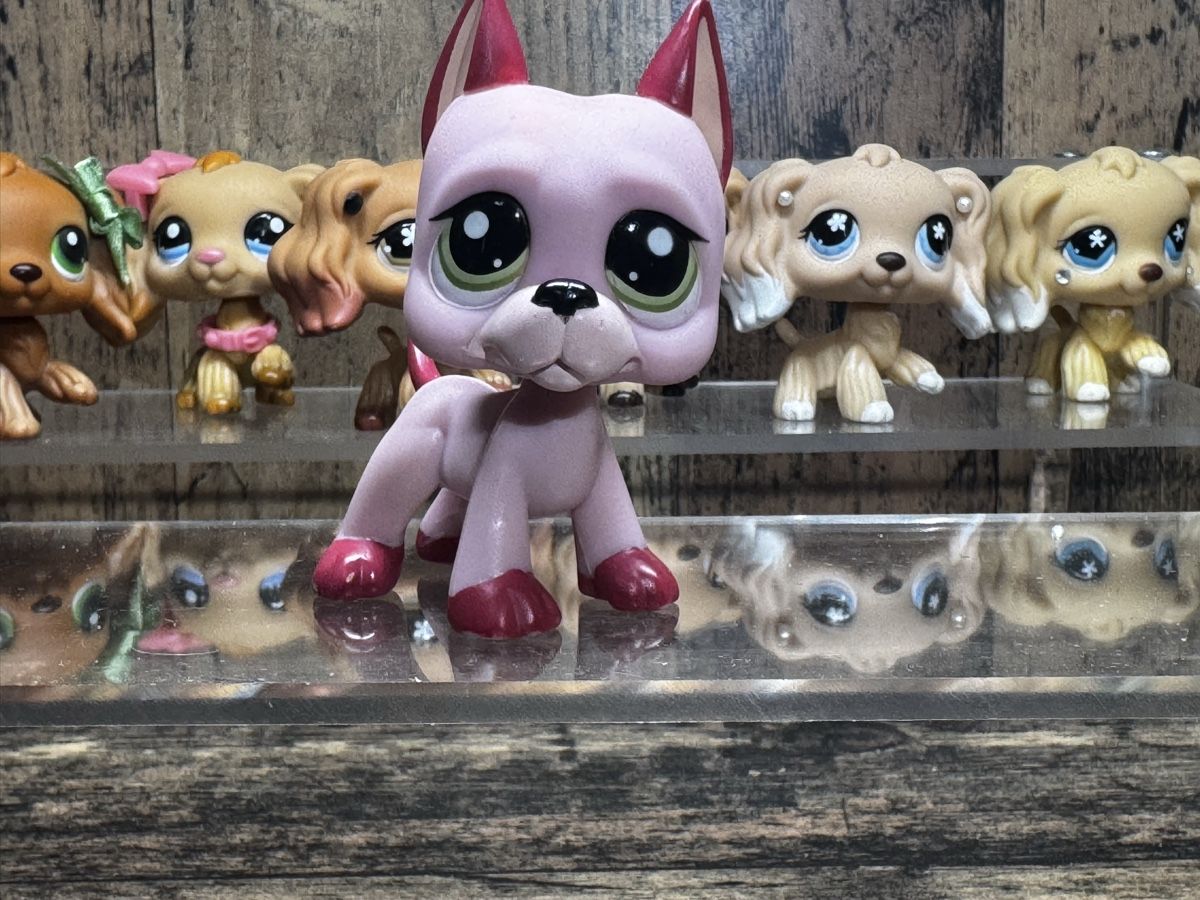 Hasbro Giocattoli: Littlest pet shop great dane – Usato da Luzern venduto da Maja.C