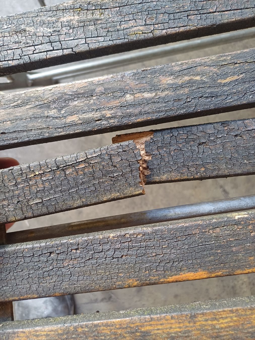 Chaises: Gartenstühle Klappbar 10 Stk.  – Défectueux à Wangenried par Recycler94 2