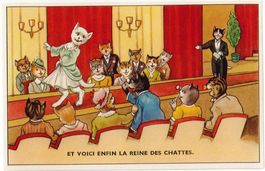 L 181 CHATS PERSO-PERS.KATZEN La Reine des chattes..Belgique