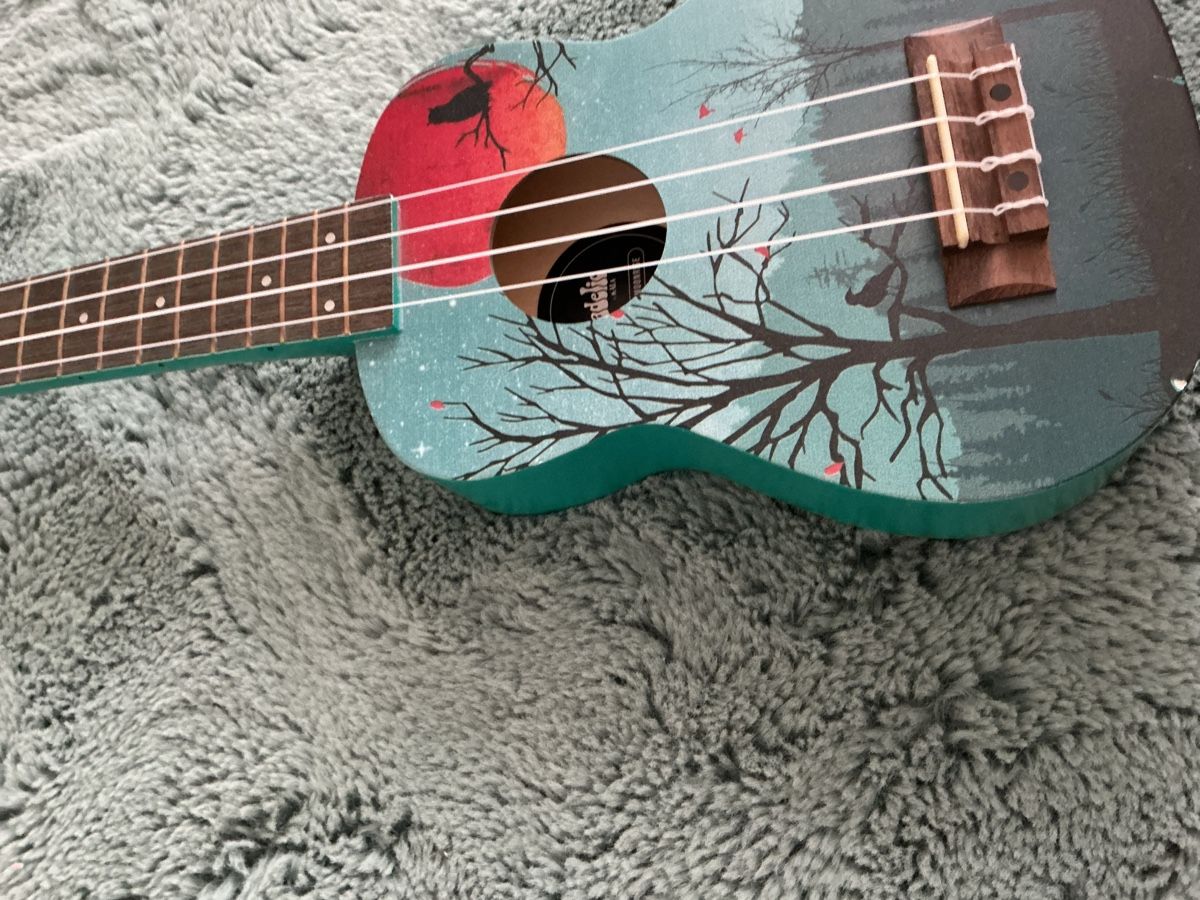 Instruments de musique: Ukulele  – Neuf (Voir description) à Allschwil par han_w8cx 1