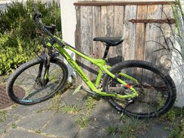 Bergamont Revox Mountainbike