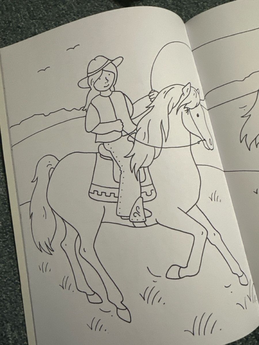Libri: Malbuch Pferde und Ponys / Leselöwen – Nuovo (secondo la descrizione) da Baltschieder venduto da YmroBe 4