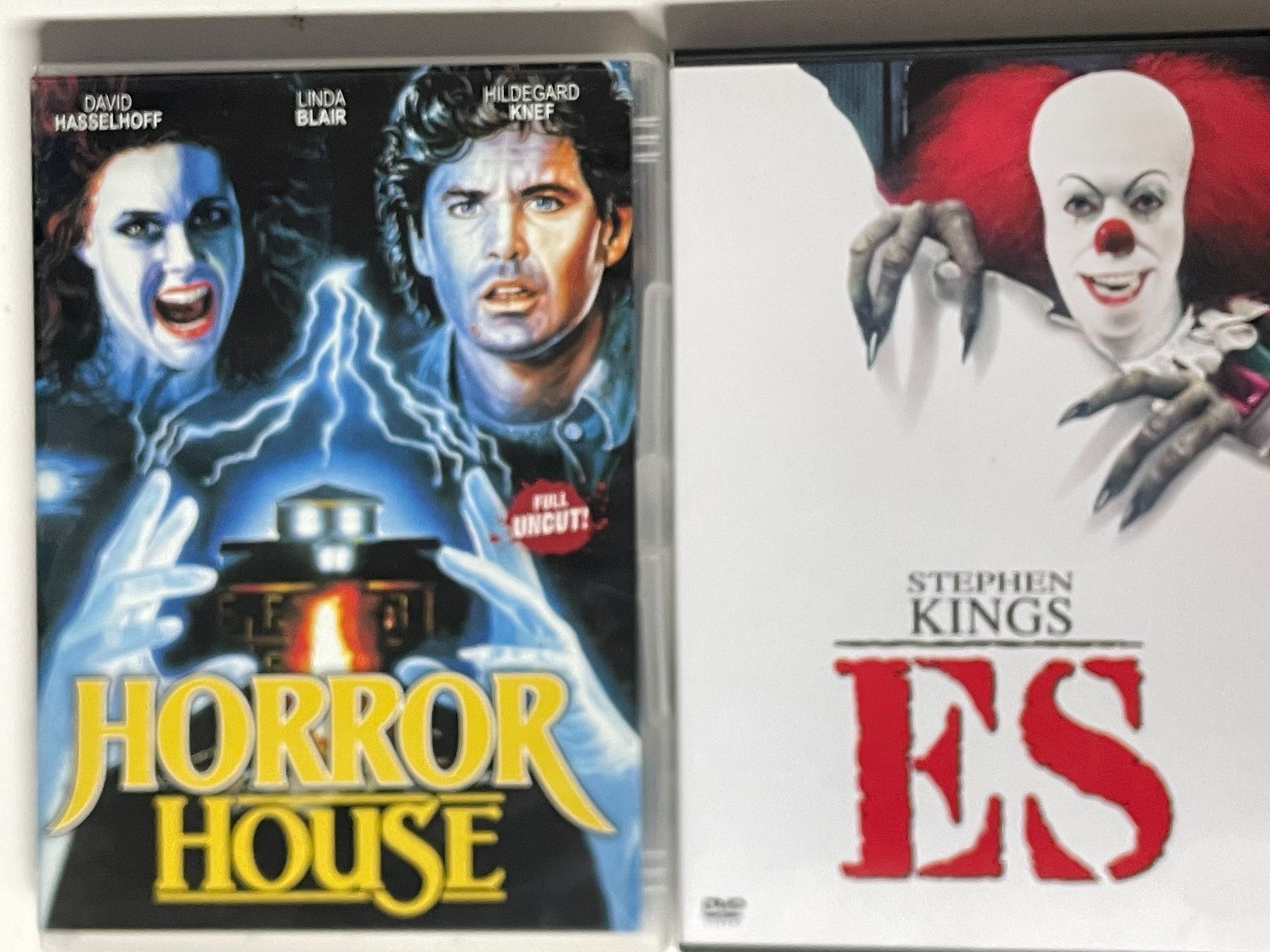 Tutti i DVDs: ES DVD + Horror House 2x – Usato da Muri b. Bern venduto da AdidasCollector