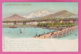 DEFEKT Lac de Genève et le mont blanc gel 1898