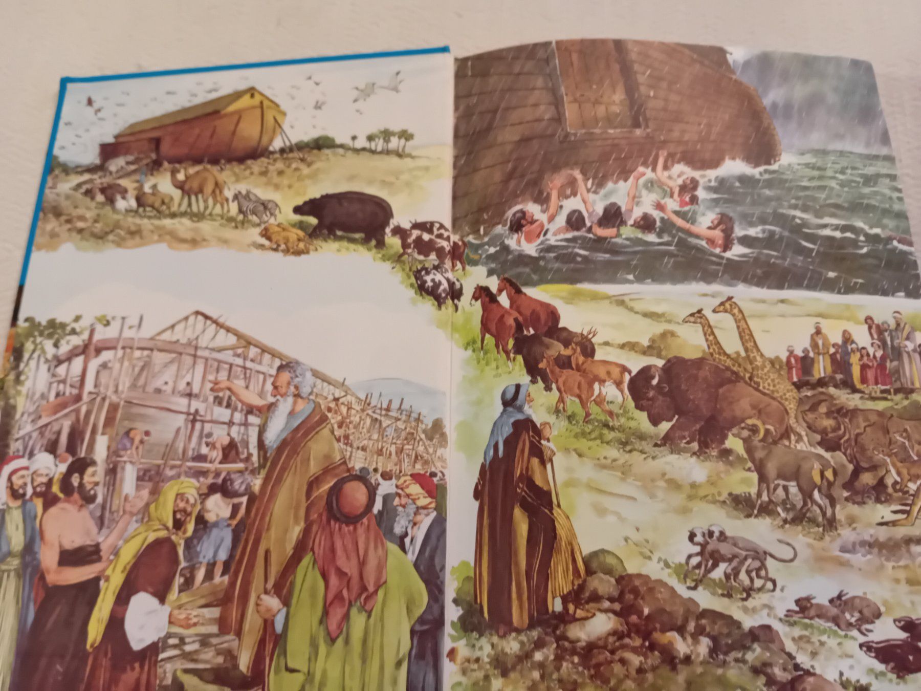 Libri: Menschen in Gottes Hand – Usato da Kleinwangen venduto da Alexis018 2