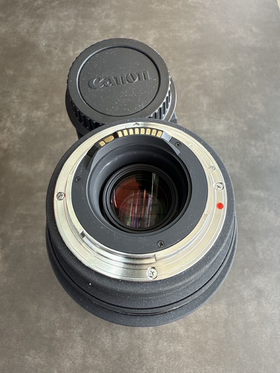 Sigma Obiettivi: Sigma 80-400mm 1:4,5-5,6 APO DG – Usato da Uetendorf venduto da Stevefrutiger 4