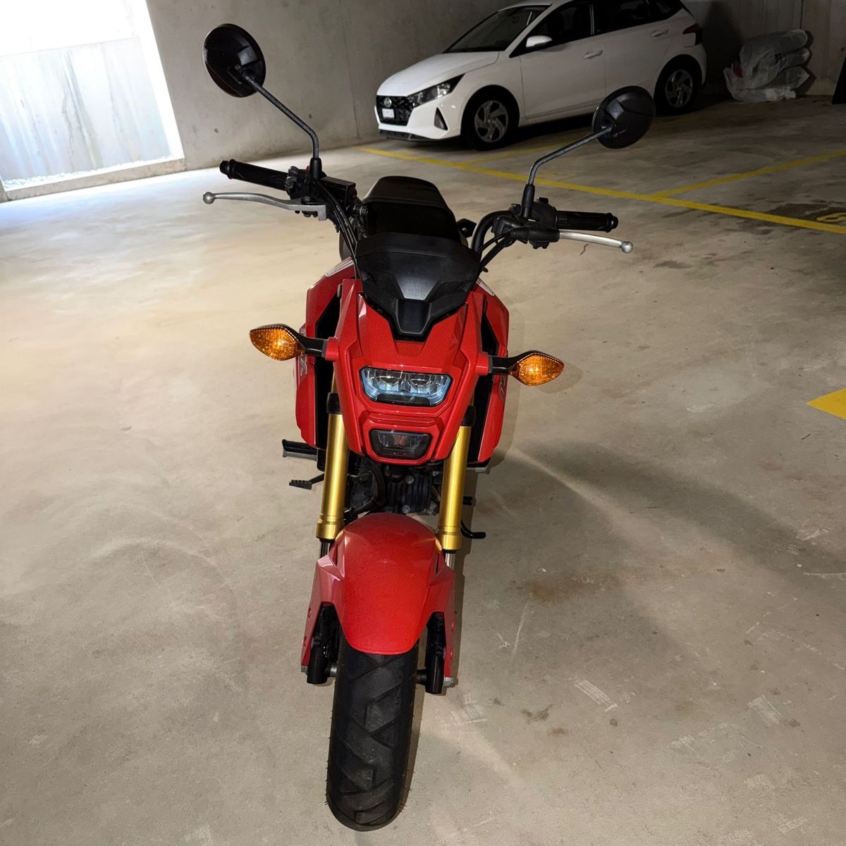 Strada: Honda MSX 125 – Usato da Servion venduto da Mils_Lvnde 1
