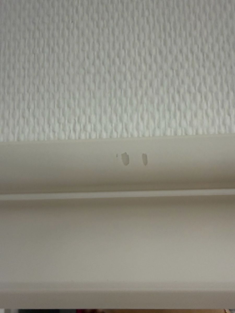 Ikea Specchi: Spiegel weiss – Usato da Embrach venduto da mic_6w9l 2