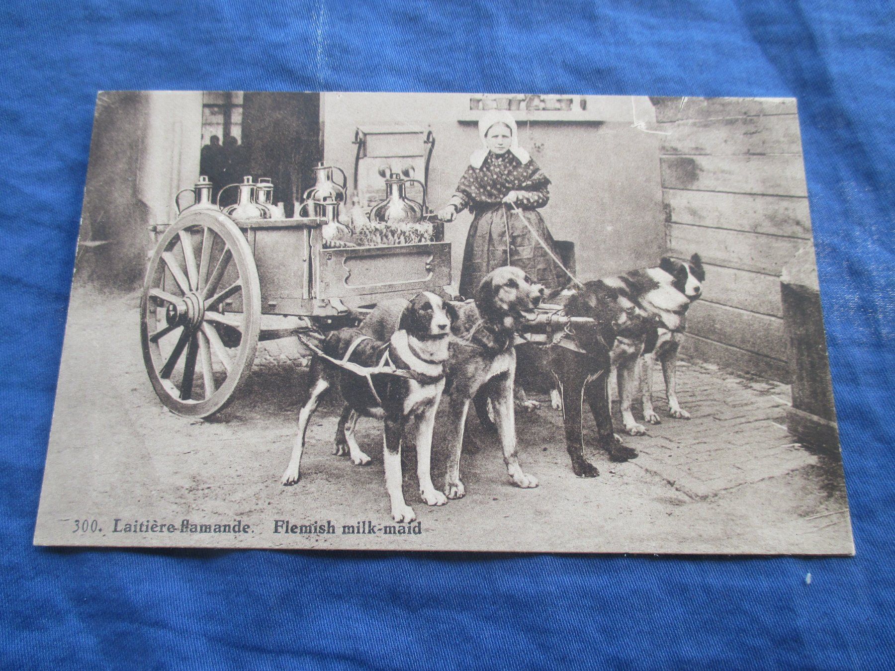 Cartoline postali: Laitière – Usato da Colombier NE venduto da nene288