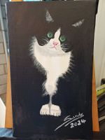 Katze Tuxedo-Cat Schwarz weisse Katze Kätzchen Katzenbild