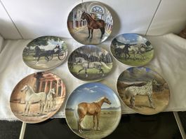 Sammlung edler Pferde Teller, 7 Stk, von Susie Whitcombe, 