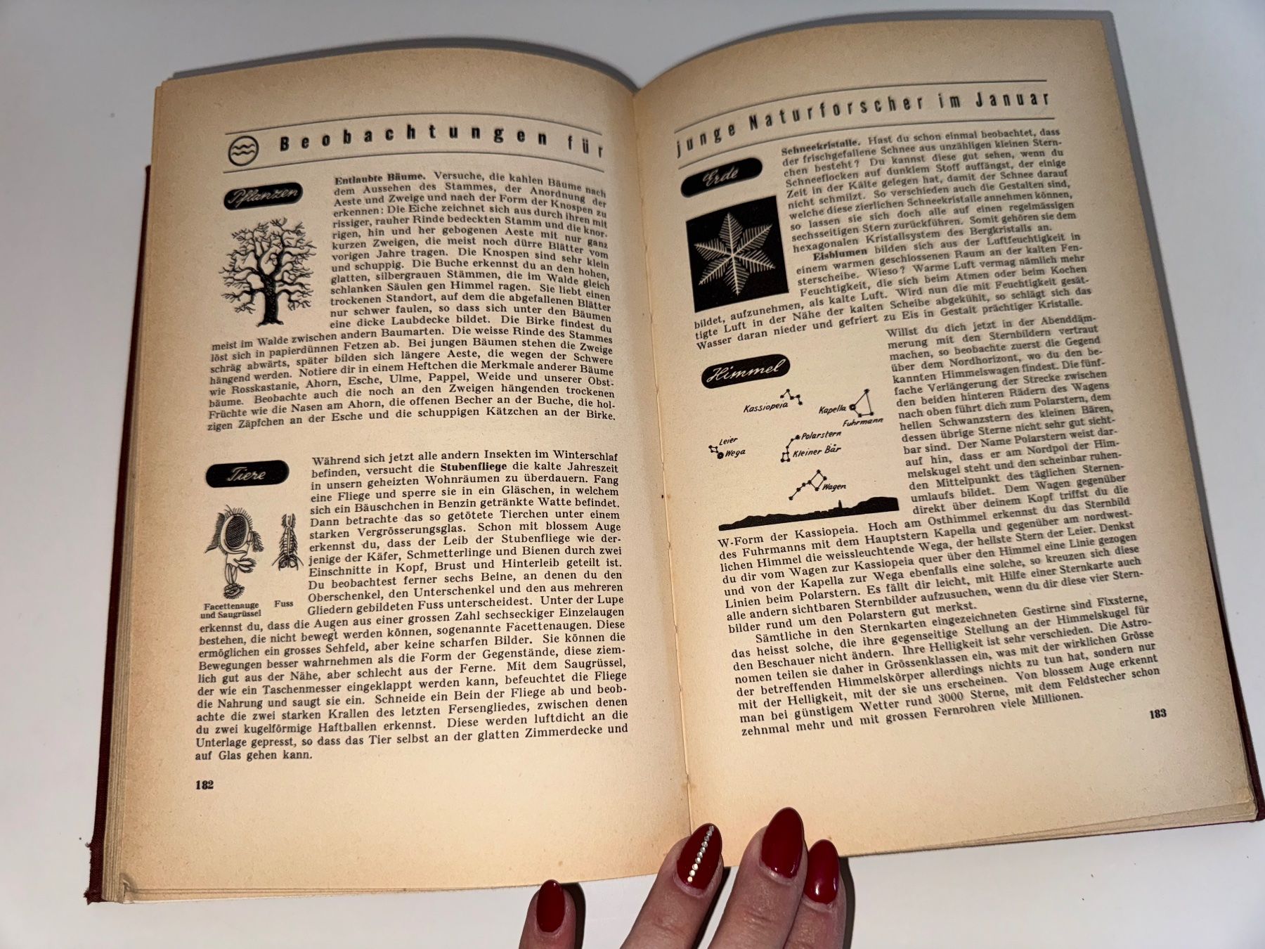 Bücher: BUCH: Helveticus, Neues Schweizer Jugendbuch, Band 3 – Gebraucht aus Grosswangen von Second_hand_paradise 7