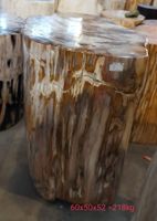 Fossil Tisch Beistelltisch Hocker Säule Versteinertes Holz