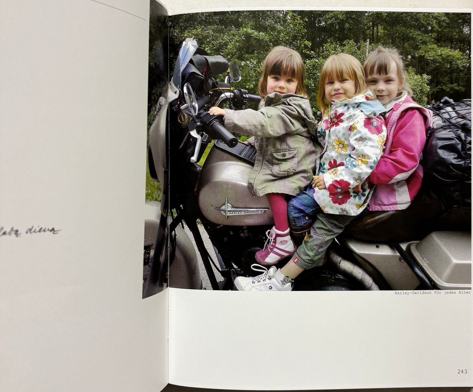 Libri: Schacher Stephan, Europa Road – Nuovo (secondo la descrizione) da Sarnen venduto da Livres 5