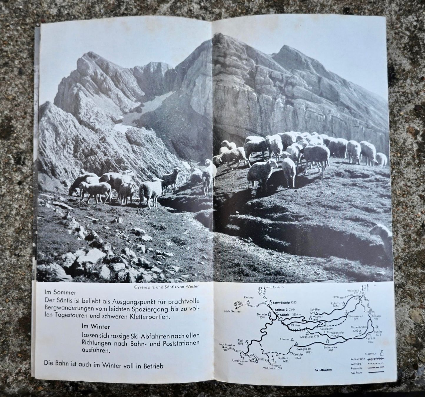 Documenti: um 1950 Prospekt SÄNTIS Urnäsch Schwebebahn – Usato da Pfaffhausen venduto da mono_rec 5