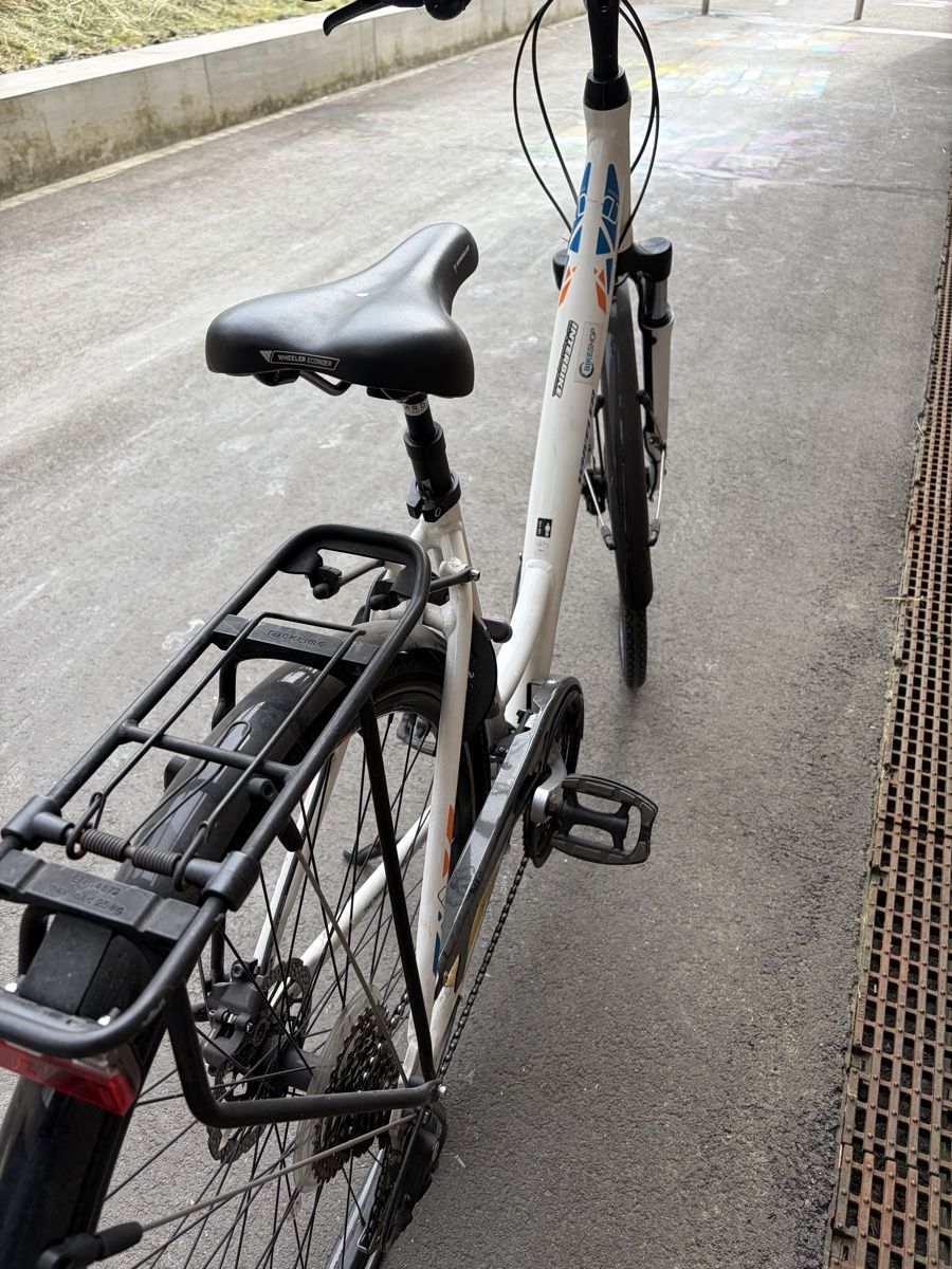 Wheeler Biciclette: Damenrad – Usato da Horw venduto da eireto 2