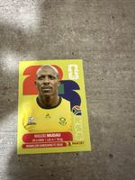 RSA 9 , FIFA WORLD CUP 2026 PANINI 