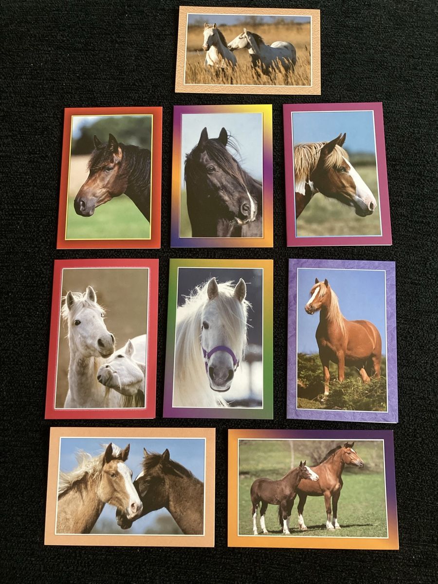 Cartoline: 9 Pferde-Grusskarten – Nuovo (secondo la descrizione) da Vinelz venduto da Viewfinder84