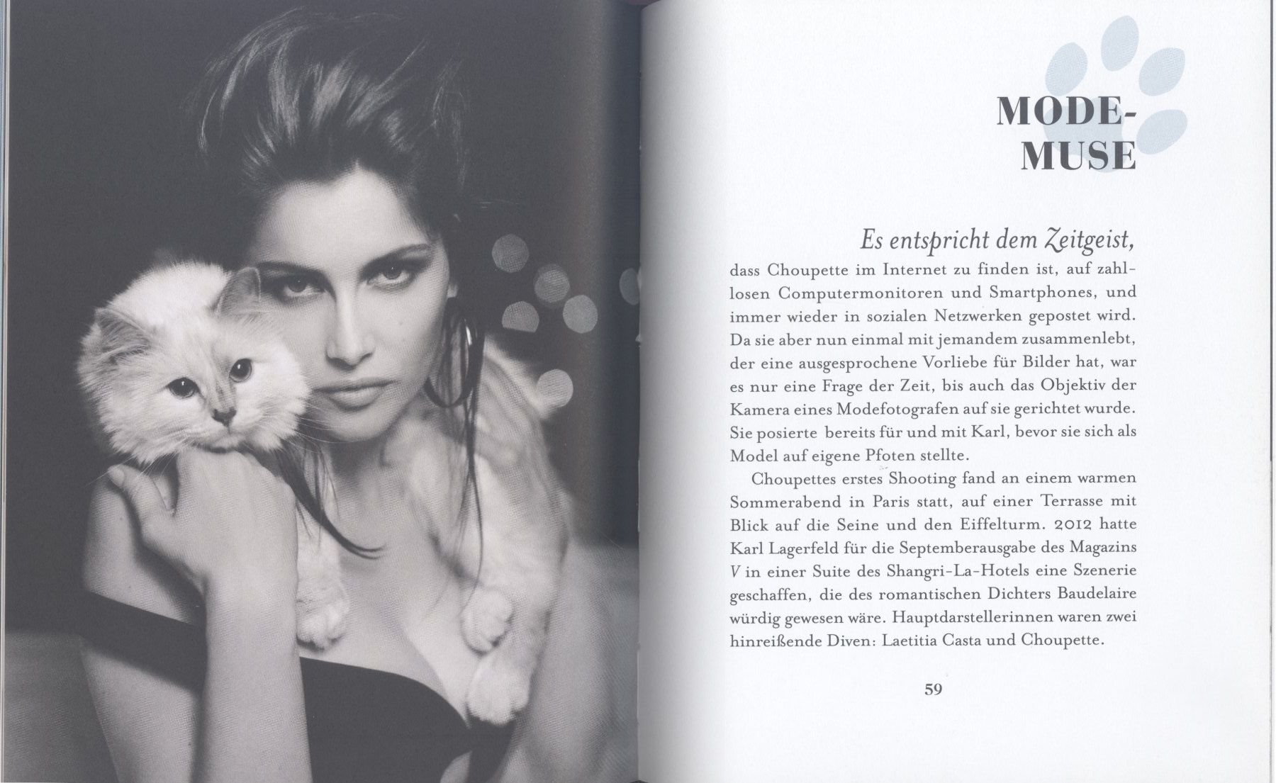 Libri: KARL LAGERFELD und Katze CHOUPETTE – Usato da Biel/Bienne venduto da 07helios032 4