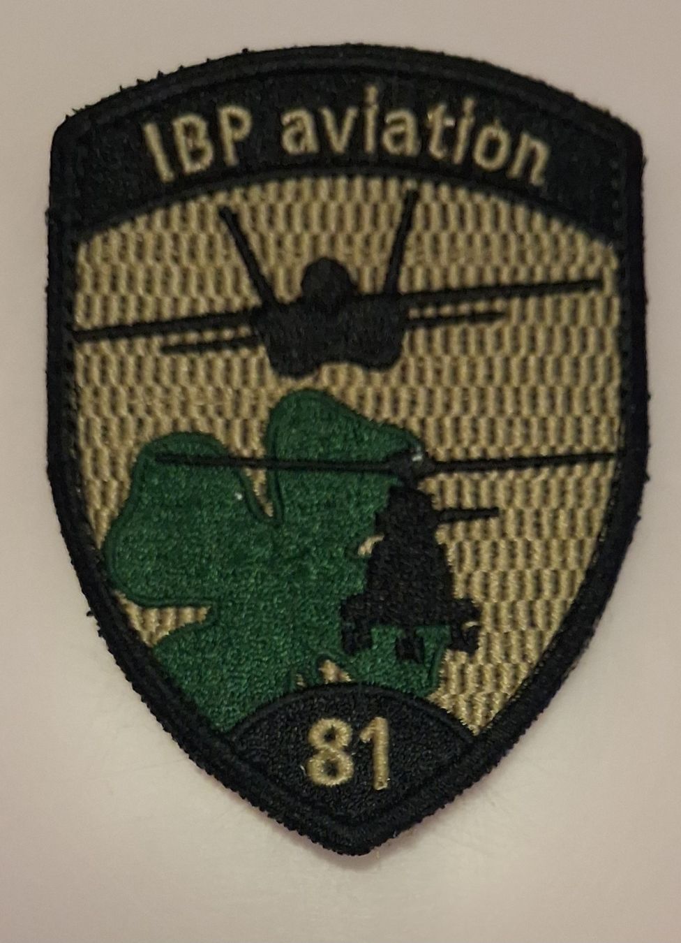 Schweizer Armee Placchette & Badge: Abzeichen IBP Aviation 81 Schweizer Armee – Usato da Derendingen venduto da Nellino01