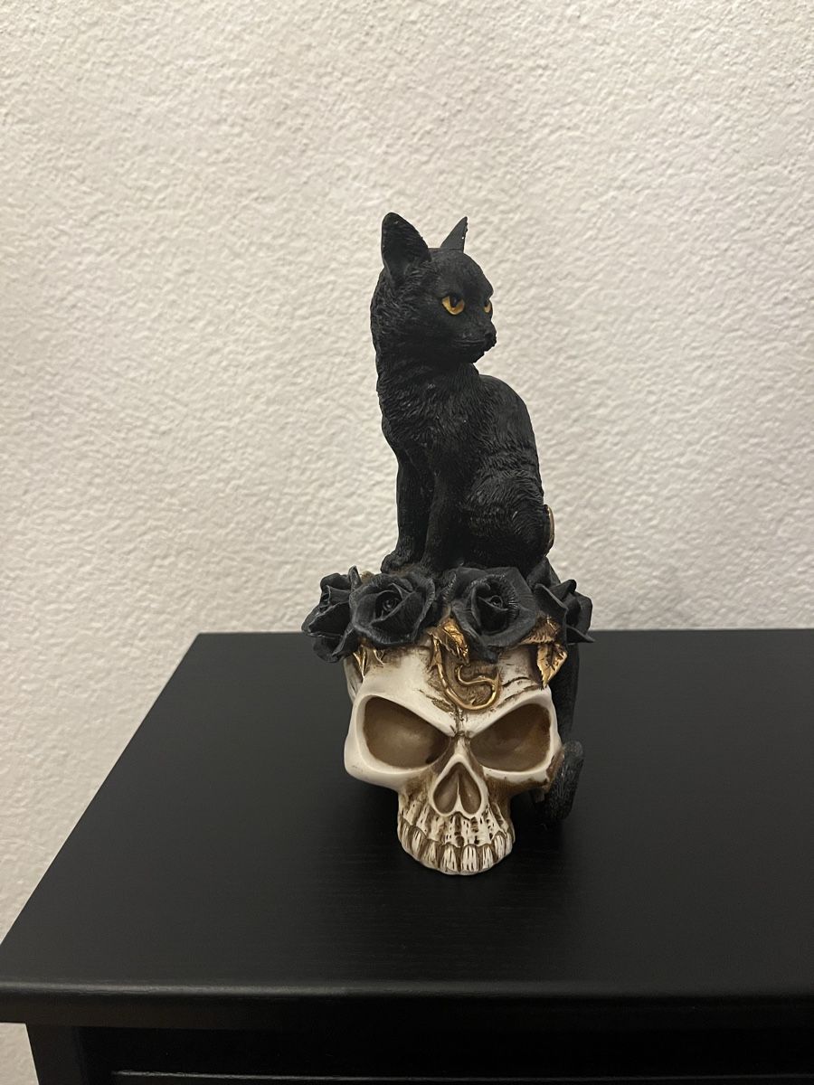 Statuette: Figur Schädel mit Katze – Usato da Solothurn venduto da digimon_racingteam 1