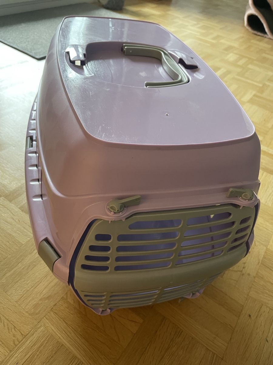 Gabbie, trasporto & Sicurezza: Kleintier transportbox – Usato da Niederlenz venduto da Plusia