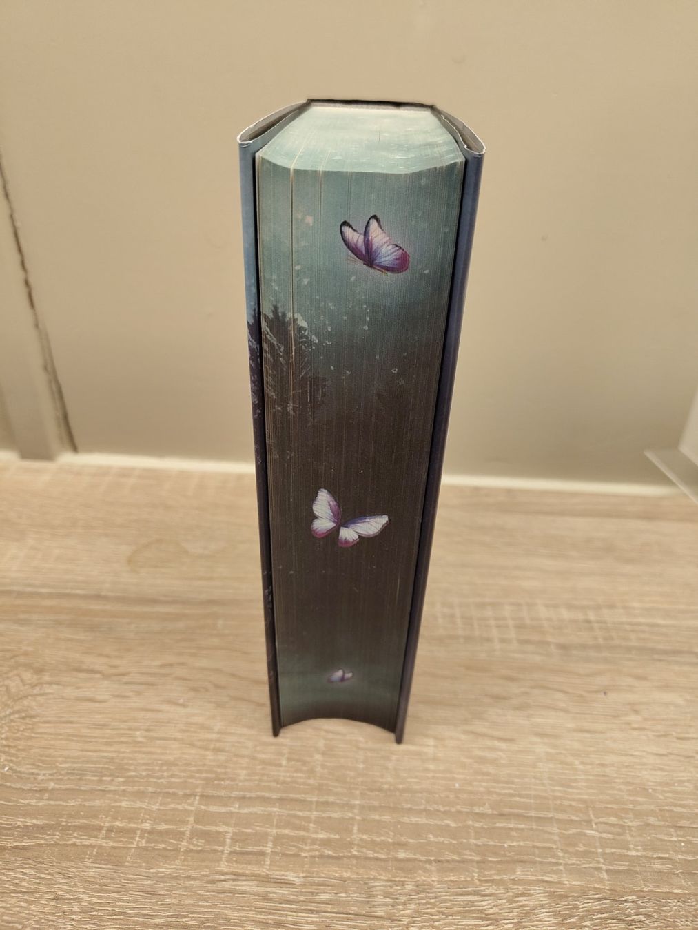 Libri: Quicksilver mit Farbschnitt – Usato da Steinen venduto da aislynn 2