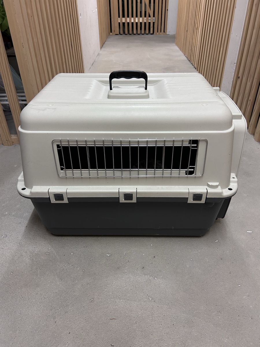 Gabbie, trasporto & Sicurezza: Transportbox /Hunde Gross – Usato da Ibach venduto da Expert_Group 1