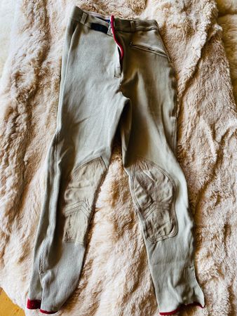 Euro-Star Reithose Cord, Beige, Gr. Europa 36, Top Zustand!