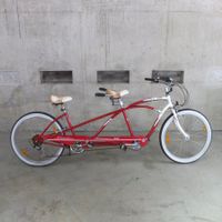Schwinn Tango Tandem, muss überholt werden