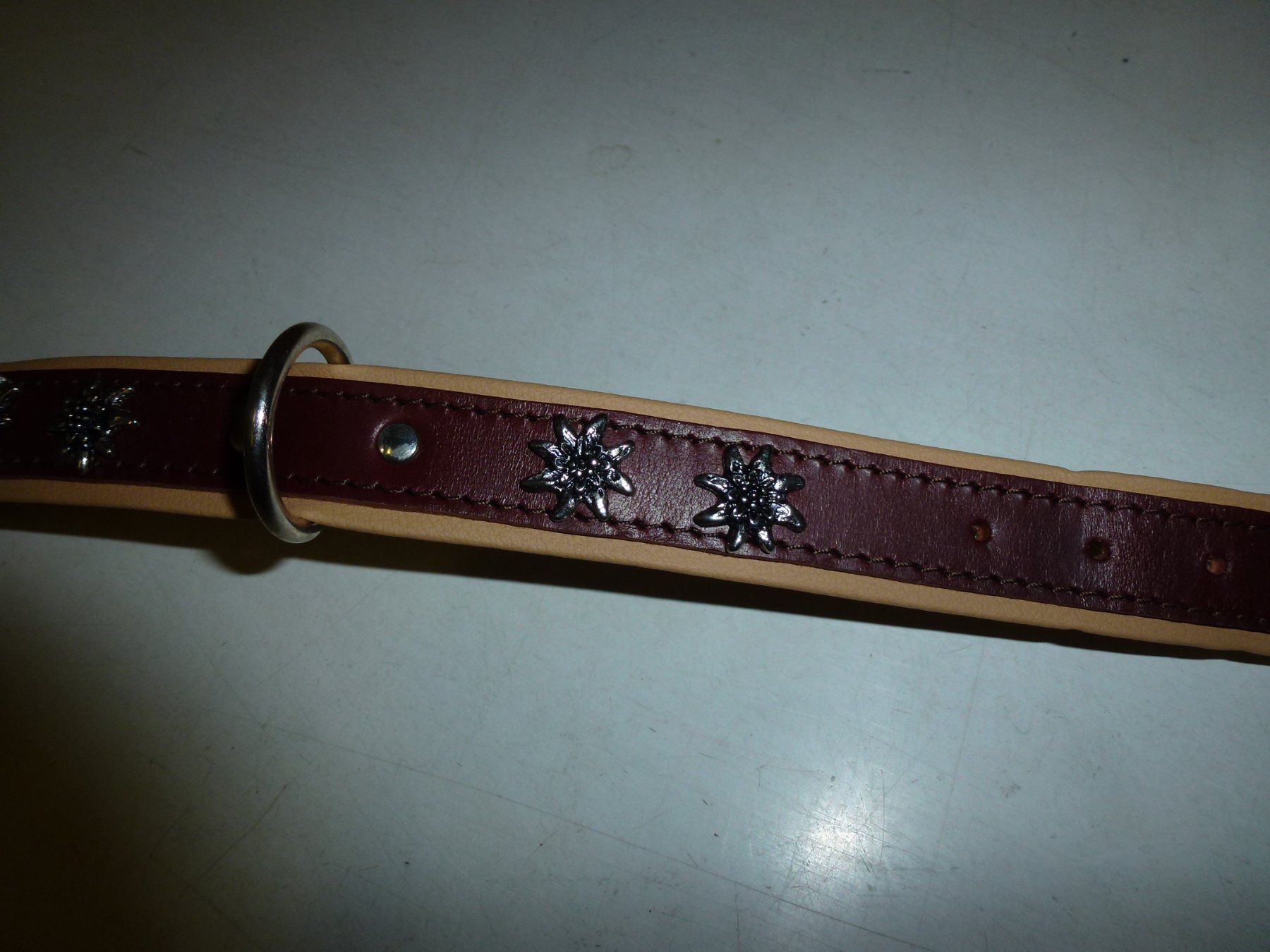 Leine & Halsband: Hundehalsband – Neu (gemäss Beschreibung) aus Bürglen UR von daisyxy5 4