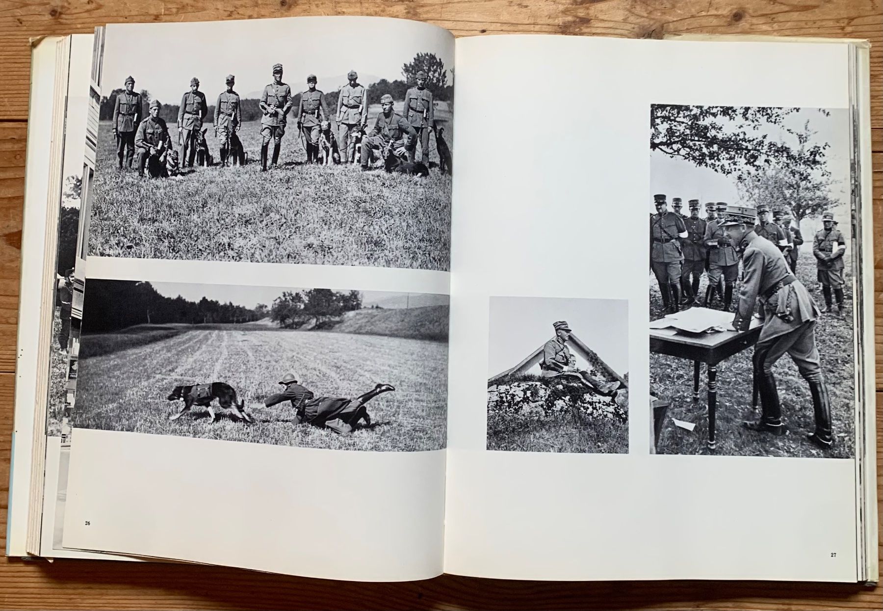 Libri: Buch Général Guisan – Usato da Goldingen venduto da Bergler012 5