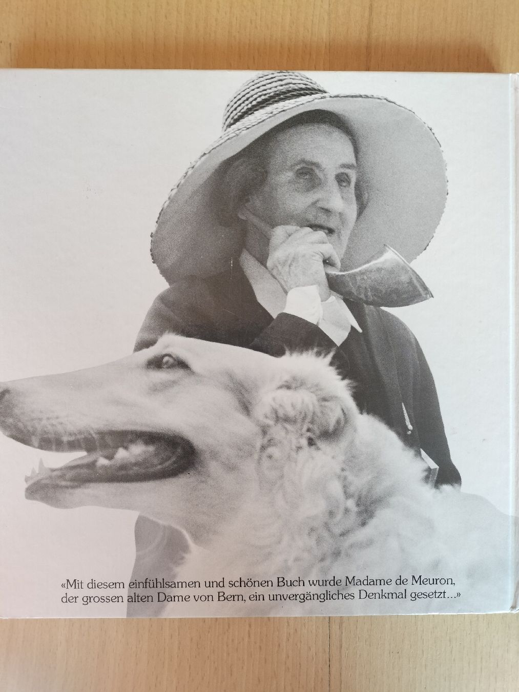 Bücher: Erinnerungsalbum, Madame de Meuron – Gebraucht aus Schwanden Sigrisw von cadieux71 1