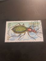 Timbre rare de Mongolie, Coptolabrus coelestis - Insecte!