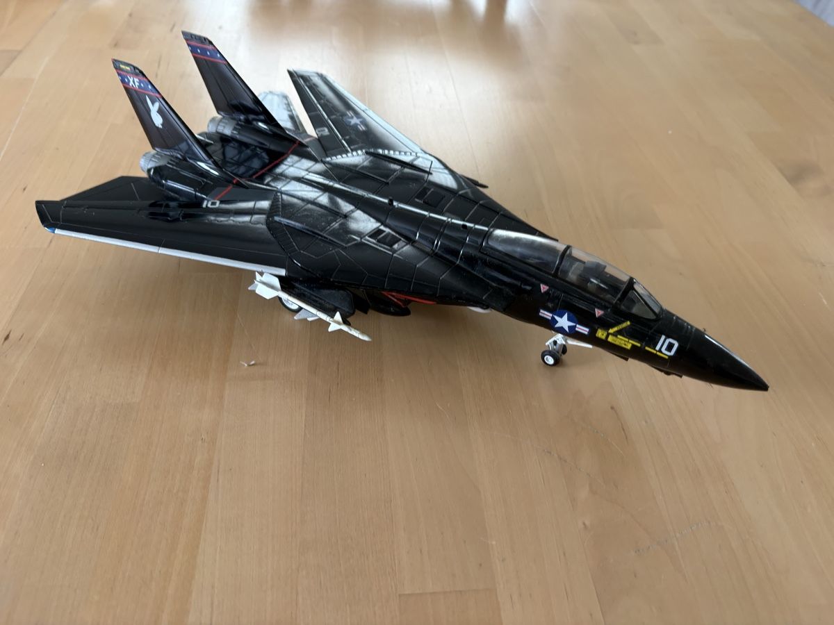 Kit di modellismo & Modellini statici: F 14 Tomcat 1:48 – Usato da Silenen venduto da Axelf76 1