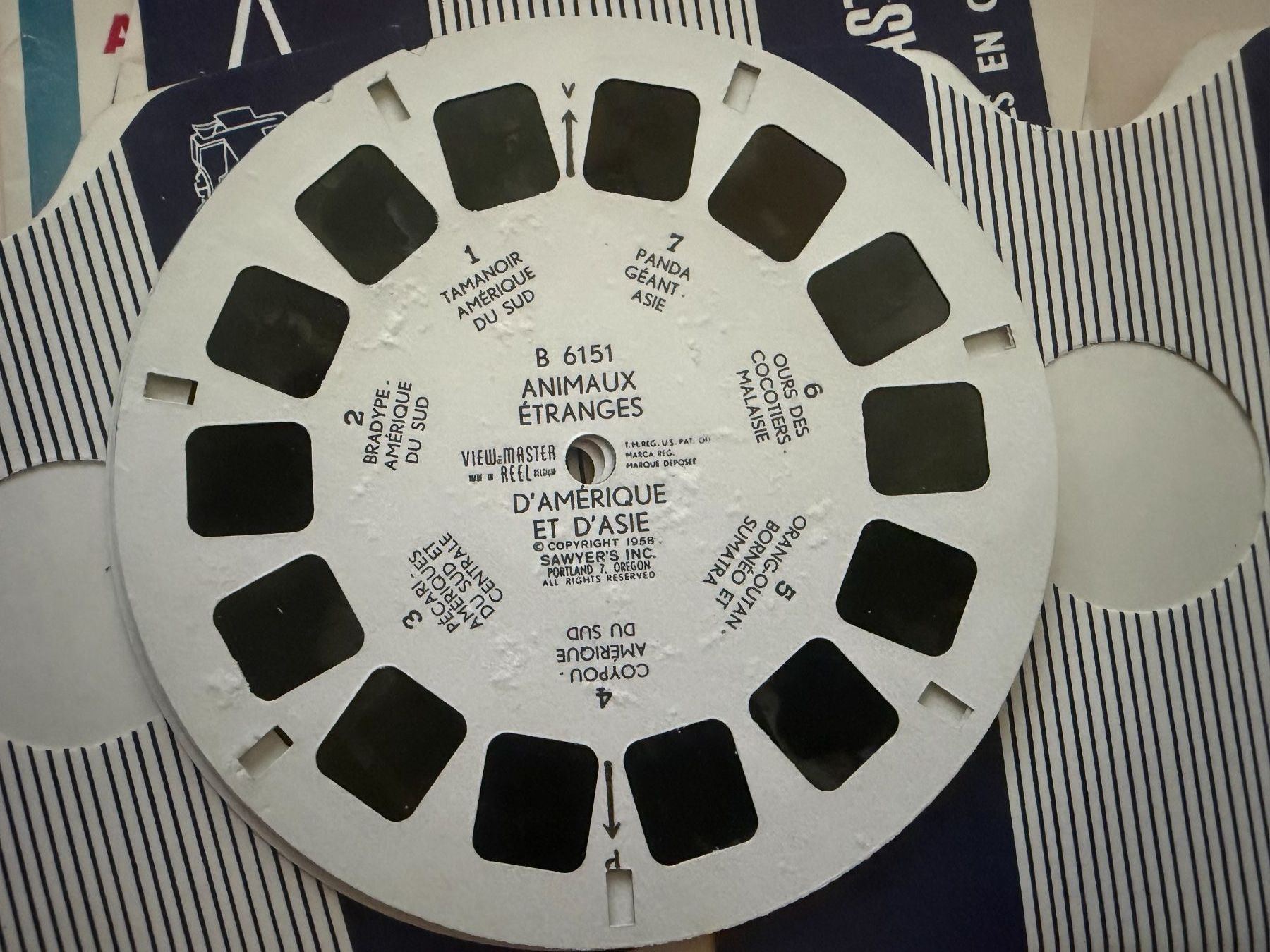 View-master Giocattoli: View-Master 3D: Nr. B 615 ANIMAUX ETRANGES de la Terre – Usato da Tegerfelden venduto da siebenmacky 4