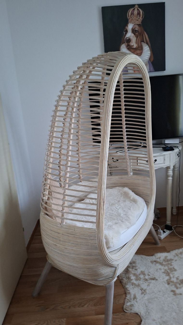 Poltrone: Sessel Lounge / Design – Usato da Winterthur venduto da Stanislava02 5