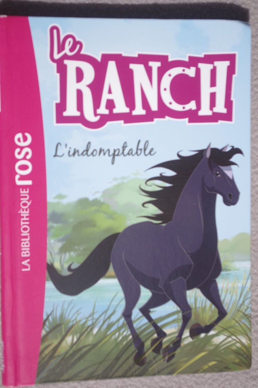 Livres: Le ranch - l'indomptable - bibliothèque rose – D'occasion à Fully par Minouchka
