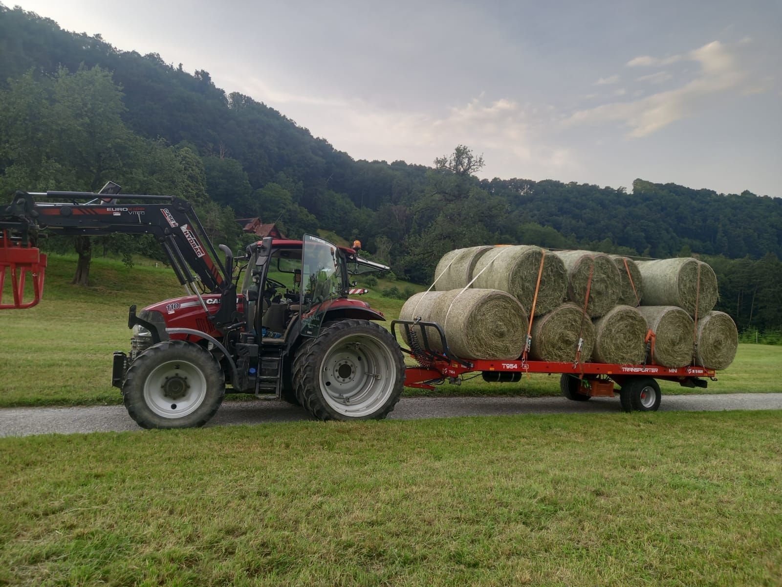 Rimorchi: Ballenwagen – Usato da Berneck venduto da Roger00756 8
