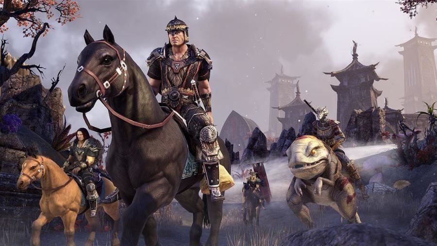 Microsoft Giochi: The Elder Scrolls Tamriel Unlimited Xb One – Usato da Schüpfheim venduto da Games_Spielkonsolen 6